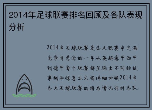 2014年足球联赛排名回顾及各队表现分析